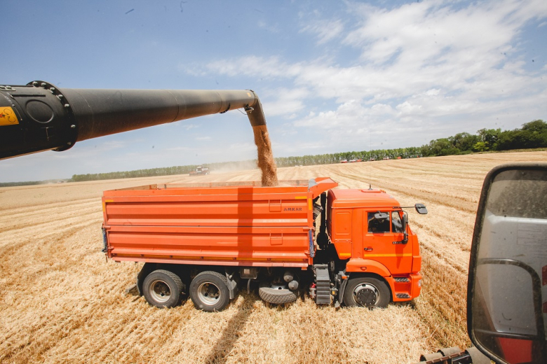 Россия ввела «гибридный железный занавес» на экспорт продовольствия 
